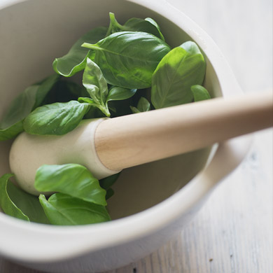 basilico fresco per il nostro pesto genovese